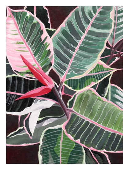 acrylic painting of rubber tree plant
