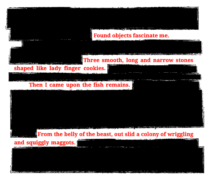 Found Objects Fascinate Me