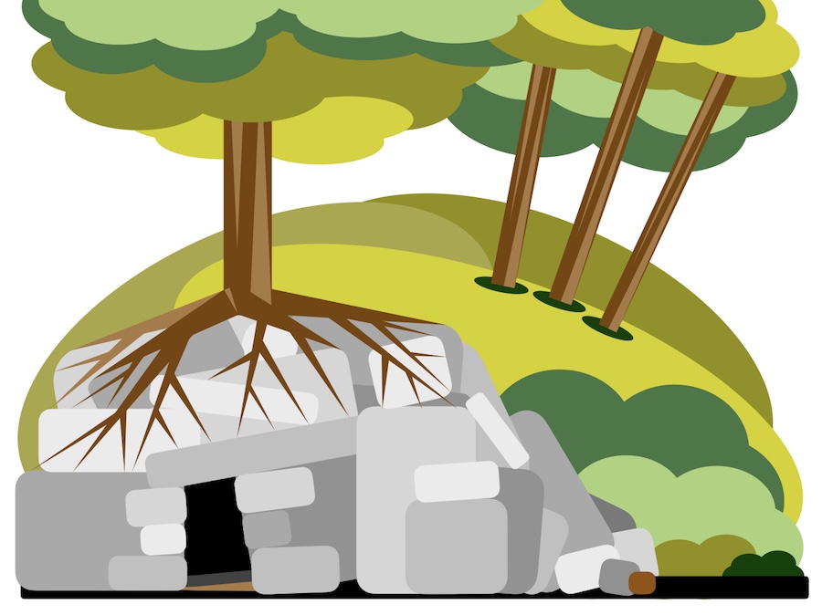 trees-roots-and-cave-entrance
